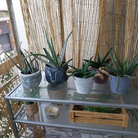 Appartement Fine *